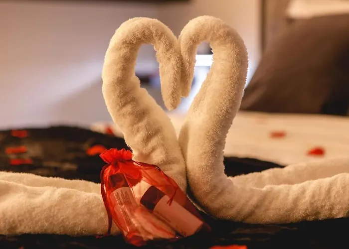 My Love Nest
